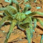 Sedona Dark Sky Sunset & Night Hike Adventure With a Private Guide - The Value of the Tour: Is It Worth It?