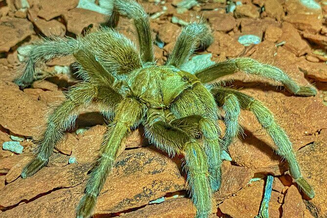 Sedona Dark Sky Sunset & Night Hike Adventure With a Private Guide - The Value of the Tour: Is It Worth It?