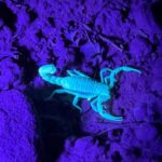 Sedona Night Hike and Stargazing Tour - Who Will Love This Tour?