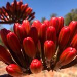 Sedona Sneak-a-Peak Hike With a Private Guide - Who Will Love This Tour?