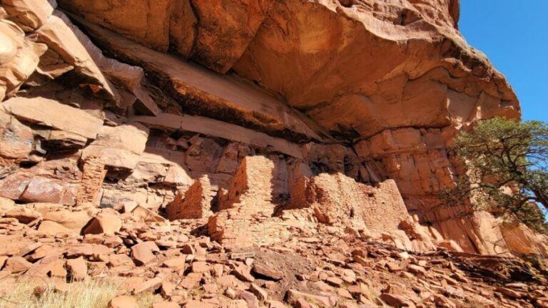 Sedona: The Scientific and Spiritual Vortex Tour - The Experience of the Guide