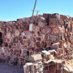 Sedona to Petrified Forest/Painted Desert Adventure PRIVATE TOUR! - Who This Tour Is Best For