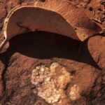 Sedona: Vortex Yoga Hiking Half-Day - The Itinerary: What to Expect