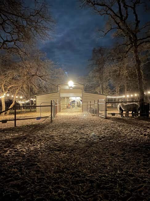 Seguin: Alpaca Experience and Adventure Tour - FAQs