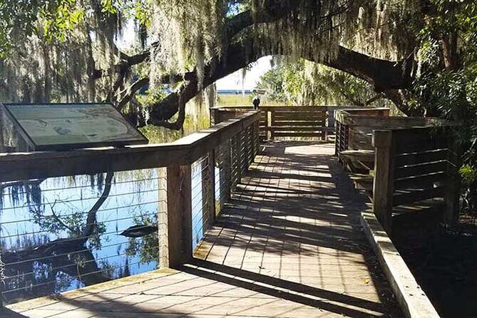 Segway Eco Discovery Tour at Honey Horn (90 minutes) - Who Should Consider This Tour?