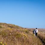 Self-Guided Audio Driving Tour of Point Reyes National Seashore - Final Thoughts