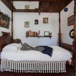 Self-Guided (Coyoacan) & Frida Kahlo Museum Ticket - The itinerary: What to expect