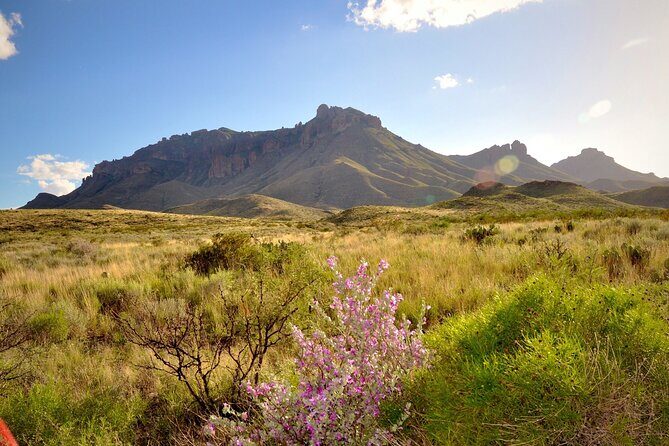 Self Guided Driving Audio Tour of Big Bend National Park - The Experience: What Travelers Can Expect