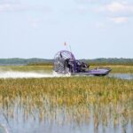 Self Guided Driving Audio Tour of Everglades National Park - The Downsides & Considerations