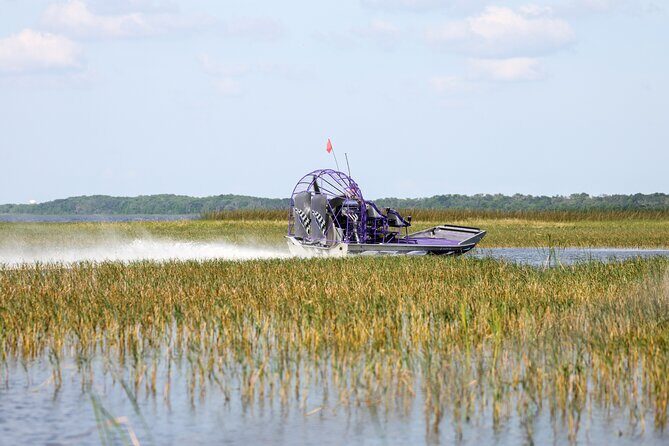 Self Guided Driving Audio Tour of Everglades National Park - The Downsides & Considerations