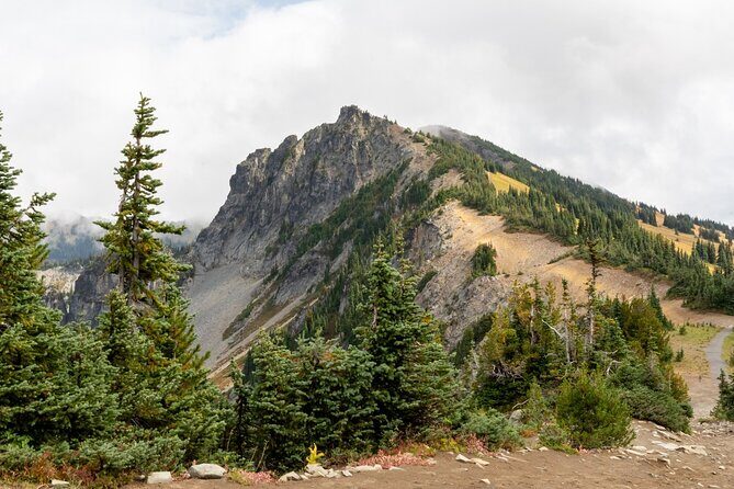 Self Guided Driving Audio Tour of Mount Rainier National Park - The Stops That Shine