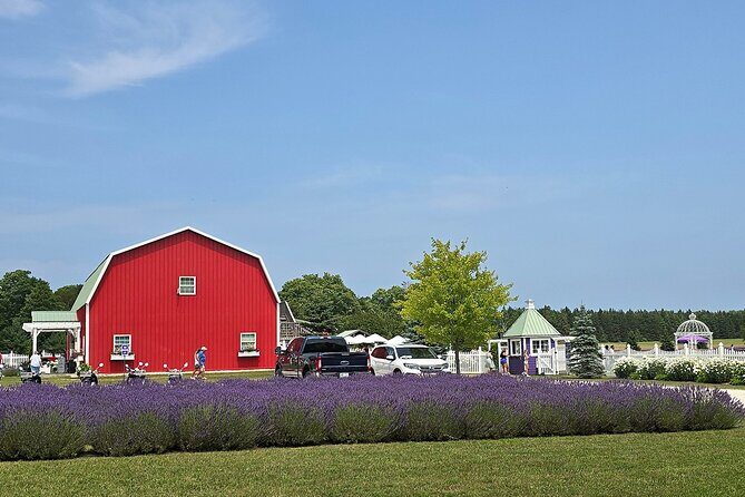 Self-Guided Driving Tour at Door Countys Washington Island - The Practicalities: What You Need to Know