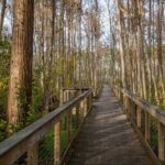 Self Guided E-Bike Tour of Panama City Beach - The Ride: Realistic Expectations