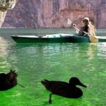 Self-Guided Emerald Cave Kayak Tour from Willow Beach - Who Will Love This Tour?