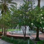 Self-Guided Fort Lauderdale Scavenger Hunt: By The New River - The Value of This Experience