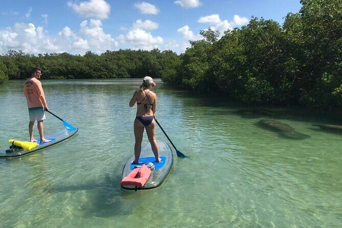 Self-Guided Island Tour: CLEAR/Standard Kayak, SUP-Bonita Springs - Final Thoughts