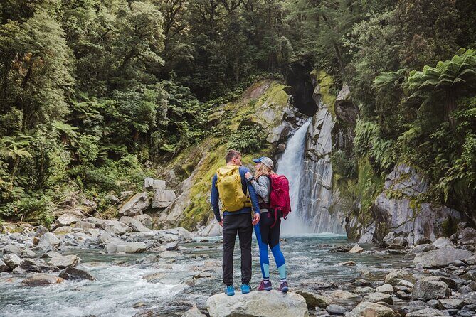 Self-Guided Milford Track Day Walk - Milford Sound - Authentic Traveler Experiences