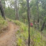 Self-Guided Mountain Bike Tours in Port Douglas - The Practical Side of the Tour