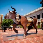 Self-Guided Napa Art Walking Tour - The Experience in Practice