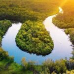 Self-Guided Noosa Everglades Kayak Tour - What Travelers Say