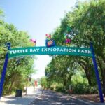 Self-Guided Scavenger Hunt: A Green Day by Reddings River - Final Thoughts