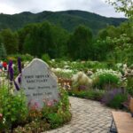 Self-Guided Scavenger Hunt: Aspen Get An Altitude Adjustment - In-Depth Look at the Route & Stops