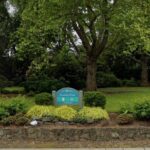 Self-Guided Scavenger Hunt: Beautiful Views of Bellevue - Details That Matter