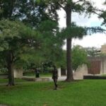 Self-Guided Scavenger Hunt: Houston's Museum District - Final Thoughts: Who Should Consider This?