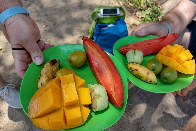 Selva y Playas Exóticas, Senderismo en Puerto Vallarta - The Guides and Group Size