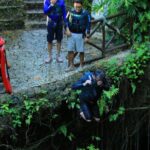 Semi-open and open Xenotes from Cancun - Who Is This Tour Best For?