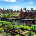 Semi-Private Meatpacking District, Chelsea Market, and High Line Walking Tour - Authentic Traveler Reviews