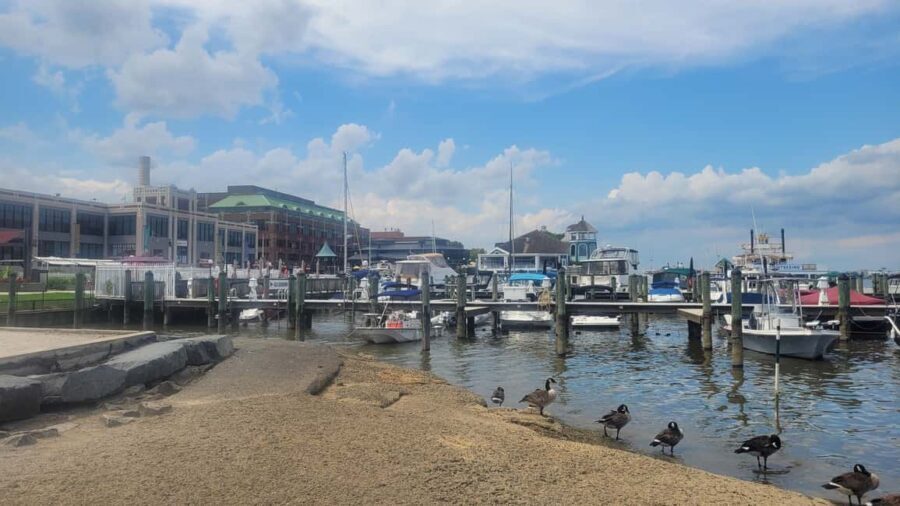 Semi-Private Walking Tour Old Town Alexandria & Carlyle - Why This Tour Works for You