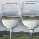 Seneca Lake: Wine Tasting Tour - FAQ