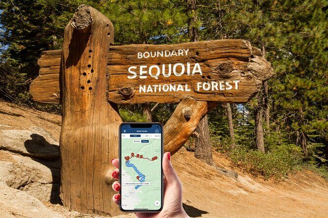Sequoia & Kings Canyon NP Self-Guided Driving Audio Tour - The Itinerary in Detail