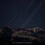 Sequoia National Park: Sherman Tree & Congress Trail Walk - Analyzing the Price and What You Get