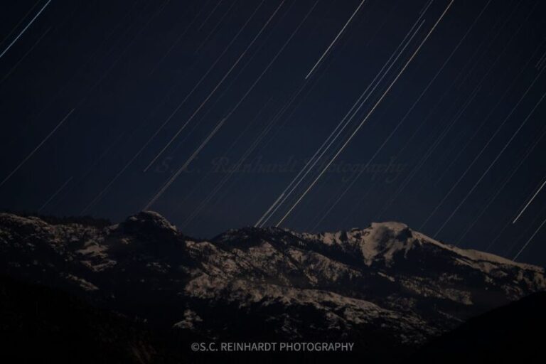 Sequoia National Park: Sherman Tree & Congress Trail Walk - Analyzing the Price and What You Get