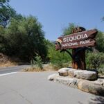 Sequoia Park Private Tour - Day 2: The Big Giants and Unique Photo Ops