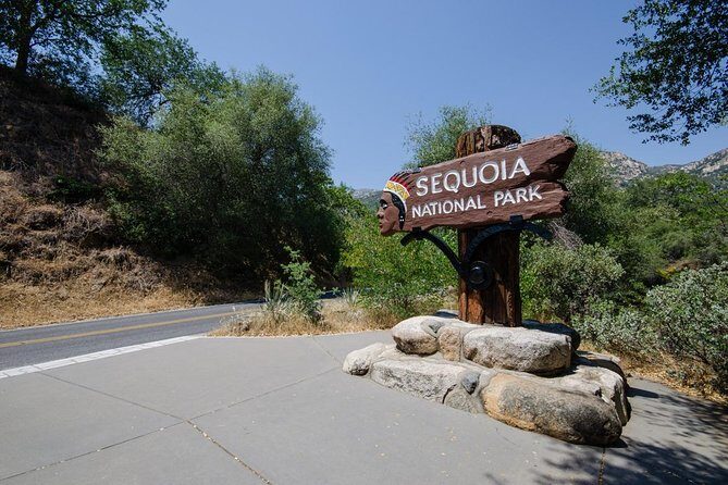 Sequoia Park Private Tour - Day 2: The Big Giants and Unique Photo Ops