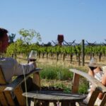 Serene and Romantic Wine Tasting Next to the Vines in Napa Valley - The Itinerary, Step-by-Step