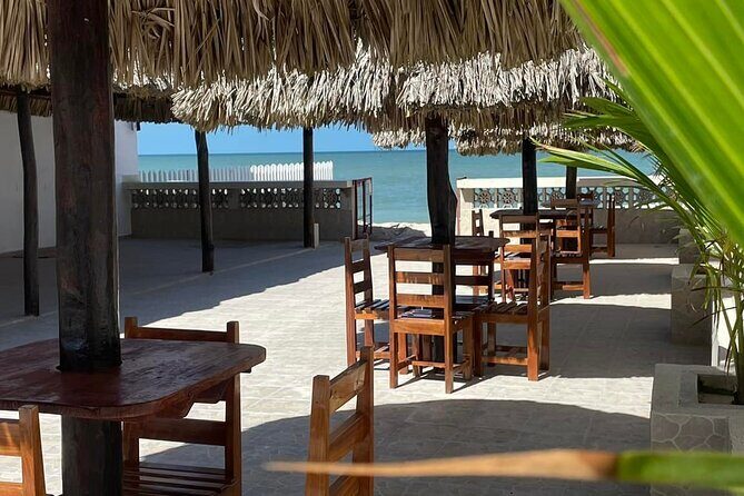 Sergio´s Beach House Buffet and Drinks - Who Would Love This Tour?
