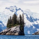 Seward: Kenai Fjords National Park Catamaran Cruise w/Lunch - Wrapping It Up