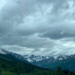 Seward to Anchorage Day Tour with Mulitiple Stops - Alaska Wildlife Conservation Center: Native Animals Up Close