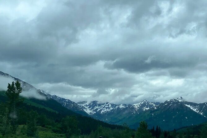 Seward to Anchorage Day Tour with Mulitiple Stops - Alaska Wildlife Conservation Center: Native Animals Up Close