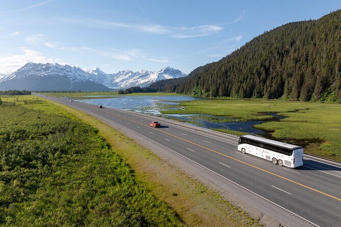 Seward to Anchorage Direct Transfer Tour - What to Expect During the Ride