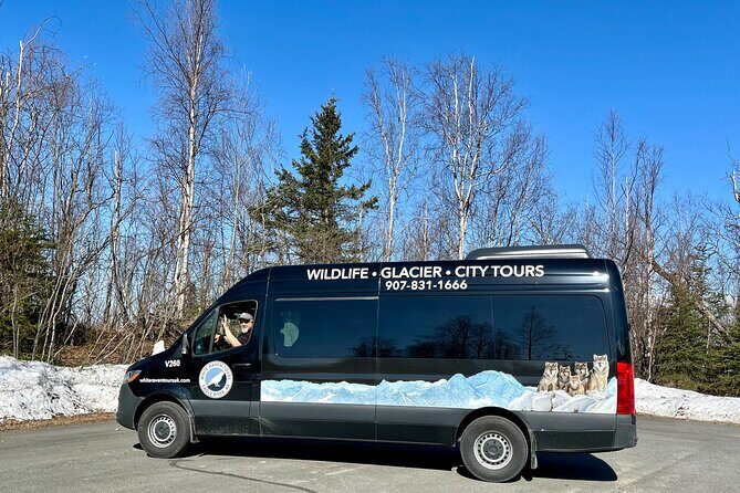 Seward to Anchorage Full Day Transit Tour with Port Pickup - An In-Depth Look at the Full Day Journey