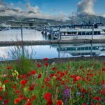 Seward to Anchorage Scenic Transfer Photo Tour - What Sets This Tour Apart