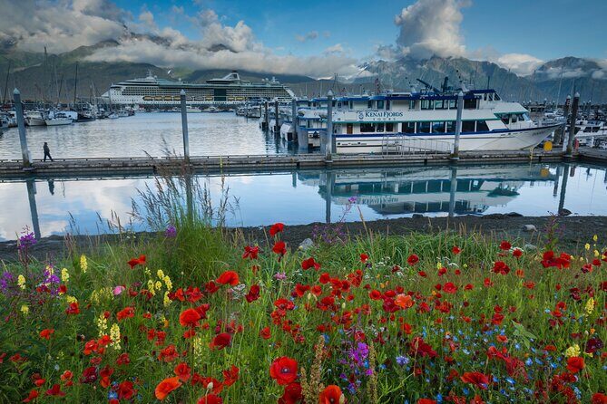 Seward to Anchorage Scenic Transfer Photo Tour - What Sets This Tour Apart
