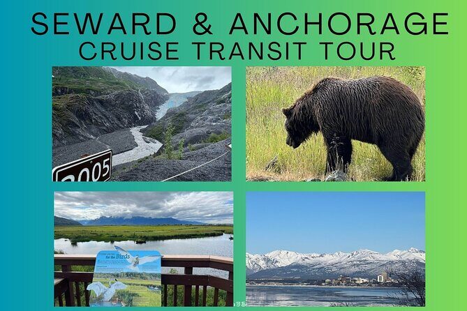 Seward to Anchorage transfer with National Park hike and AWCC - The value of this tour
