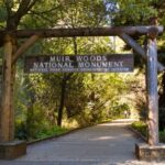 SF: Muir Woods, Sausalito, Golden Gate Bridge Private Tour - Exploring the Stops