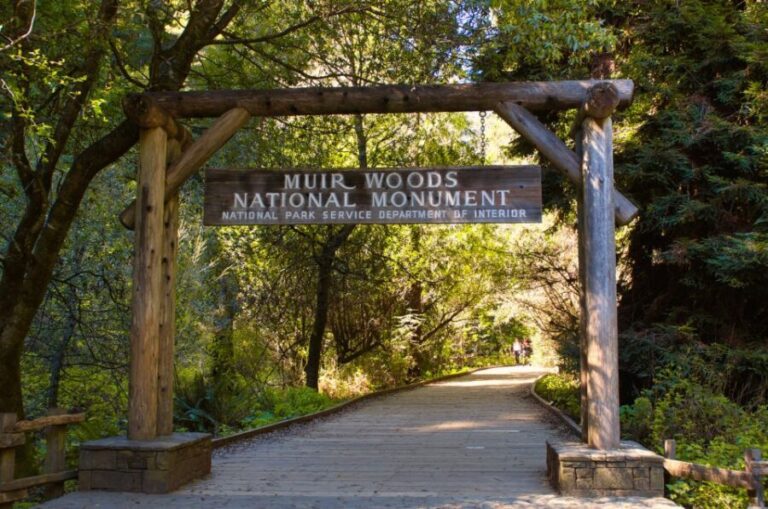 SF: Muir Woods, Sausalito, Golden Gate Bridge Private Tour - Exploring the Stops